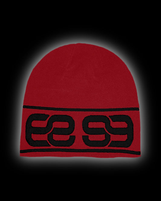 *REVERSIBLE 99 HELMET*